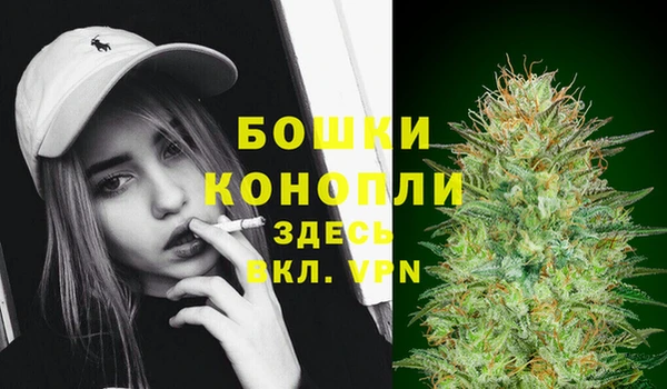 PSILOCYBIN Белокуриха