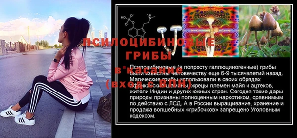 метамфетамин Богданович