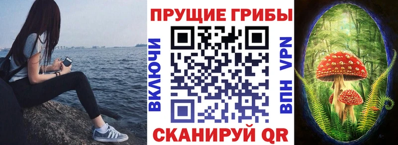что такое   omg сайт  Галлюциногенные грибы прущие грибы  Красноуральск 